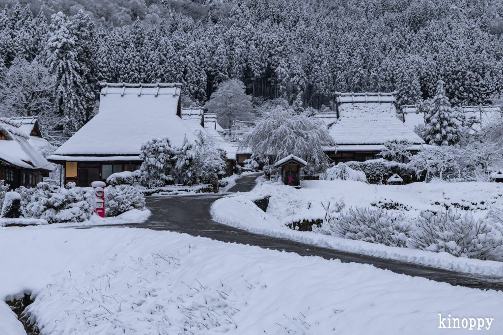 かやぶきの里 雪景色 2