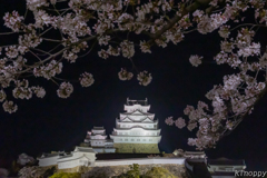 姫路城 和傘幻想 華灯り 12