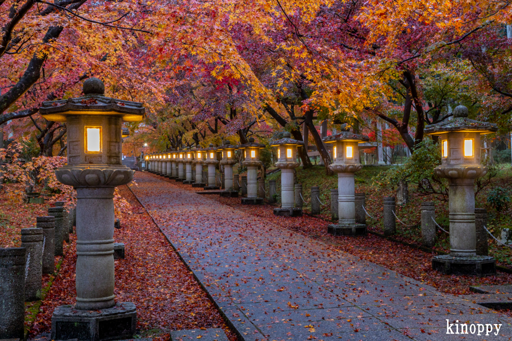 高山寺 紅葉 2