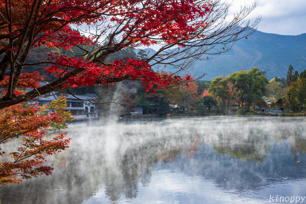 湯布院 金鱗湖 秋景色 4