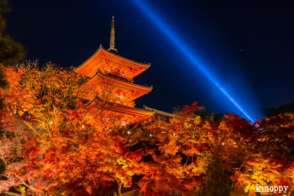 清水寺 紅葉 ライトアップ 3