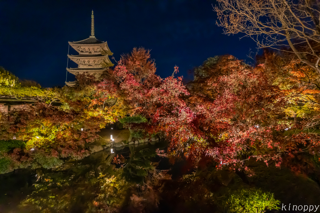 東寺 紅葉 ライトアップ 3