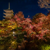 東寺 紅葉 ライトアップ 3