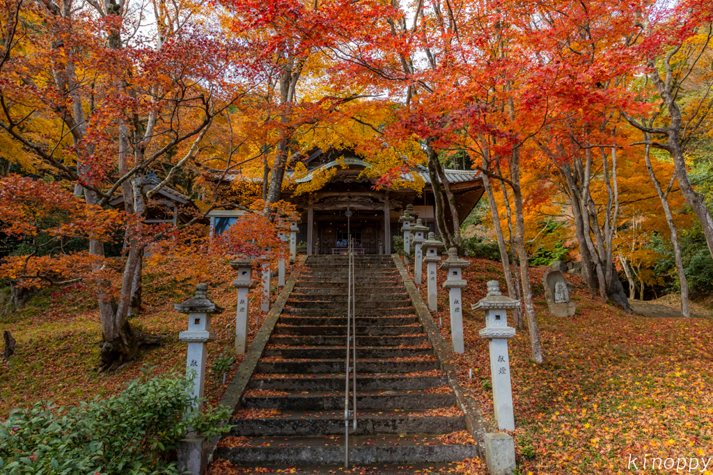 西光寺 紅葉