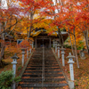 西光寺 紅葉