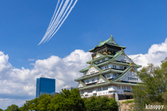 ブルーインパルス