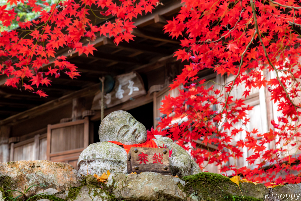 大国寺 紅葉 2