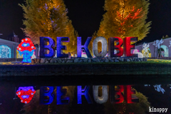 神戸イルミナージュ 8