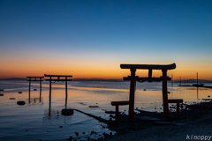 太良 水中鳥居