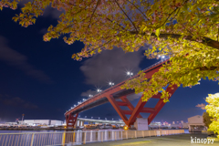 灘浜公園 河津桜 2