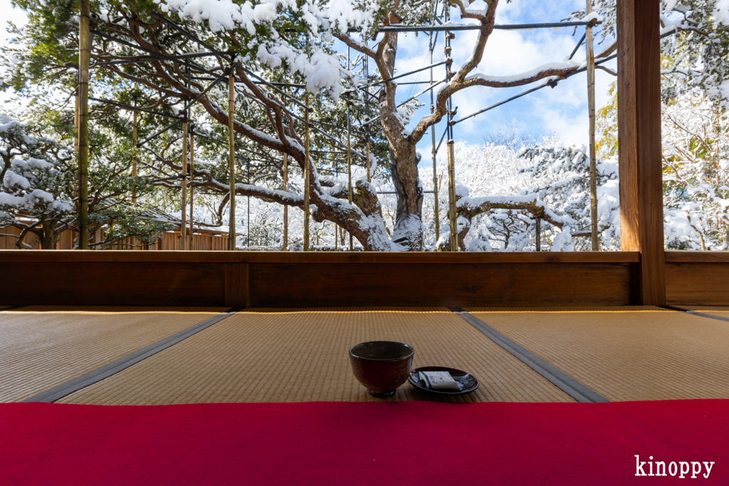 宝泉院 雪景色 4