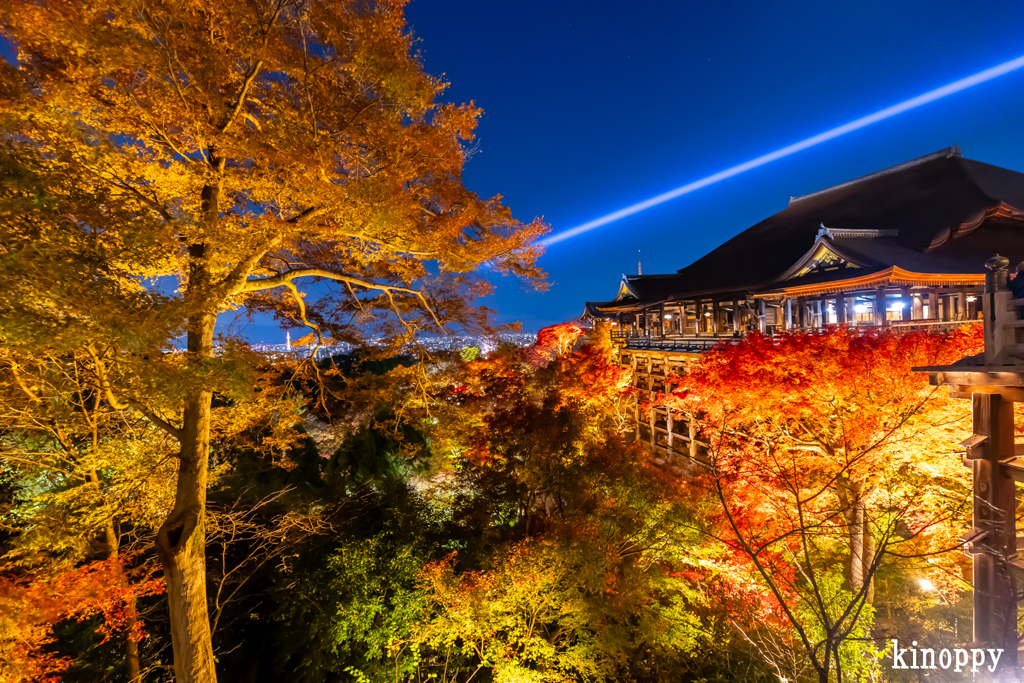 清水寺 紅葉 2