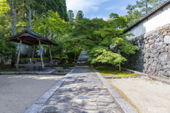 酬恩庵一休寺 3