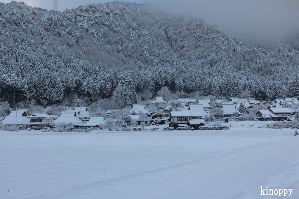 かやぶきの里 雪景色 6