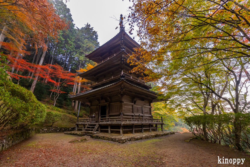 高源寺 紅葉 2