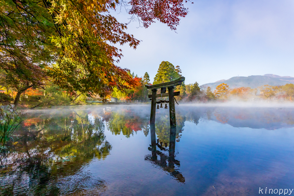 湯布院 金鱗湖 秋景色 3