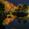 姫路城 好古園 紅葉 ライトアップ 4