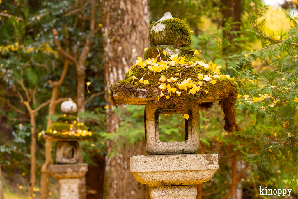 岩戸落葉神社 5