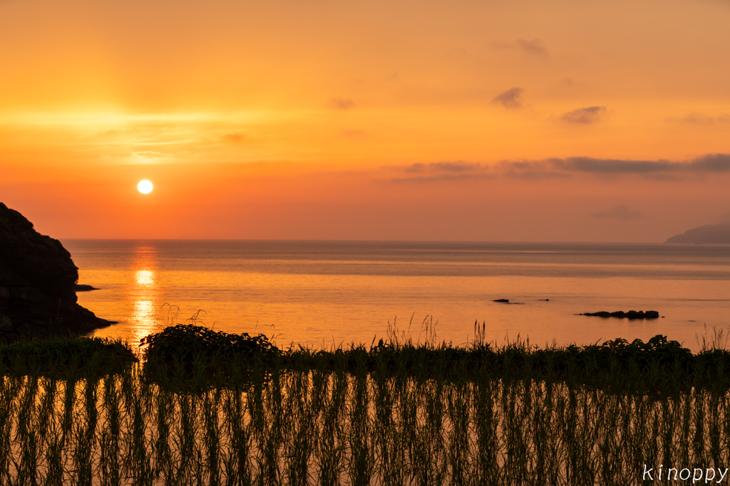 浜野浦 棚田 夕景 5