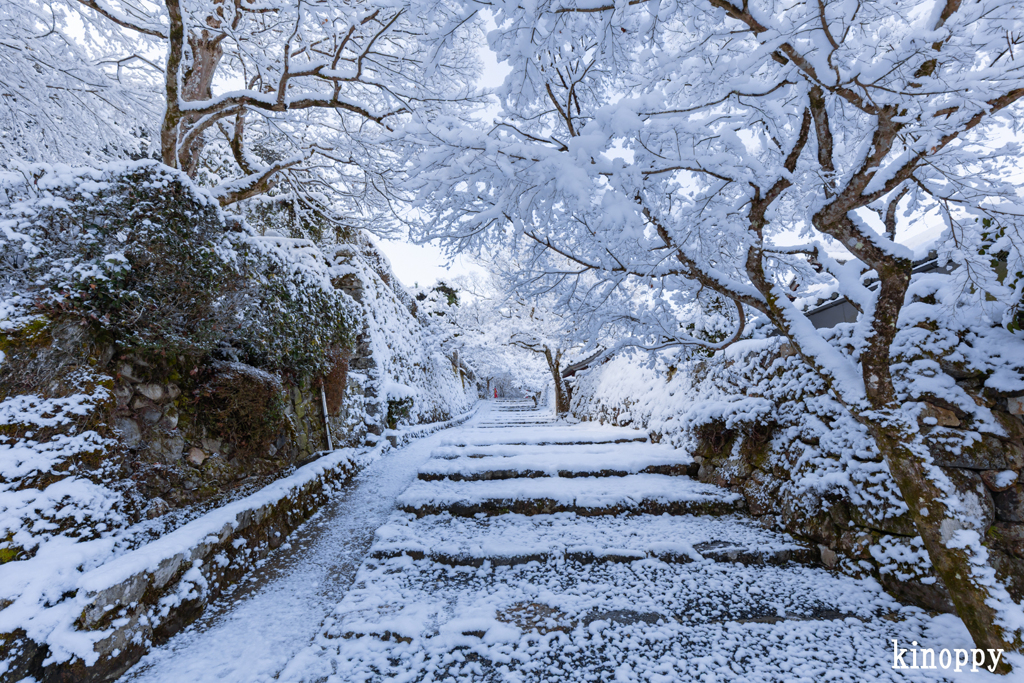 三千院門前 雪景色 4