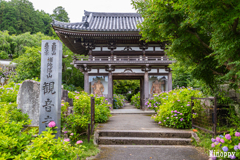 華觀音寺 2