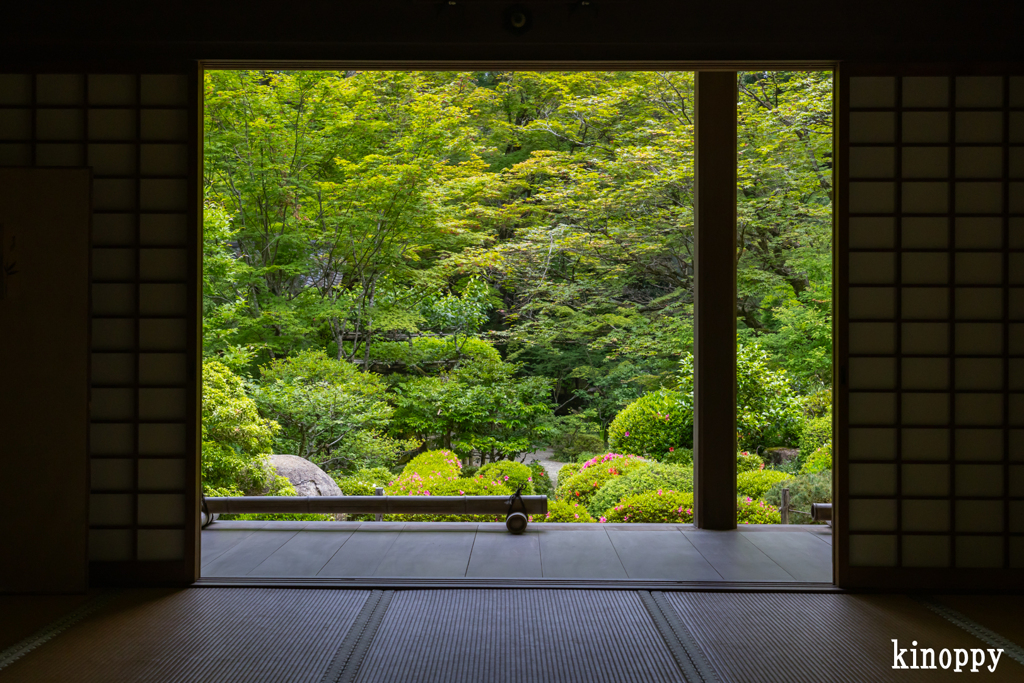 金剛輪寺 新緑 4