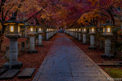 高山寺 紅葉 Ⅱ