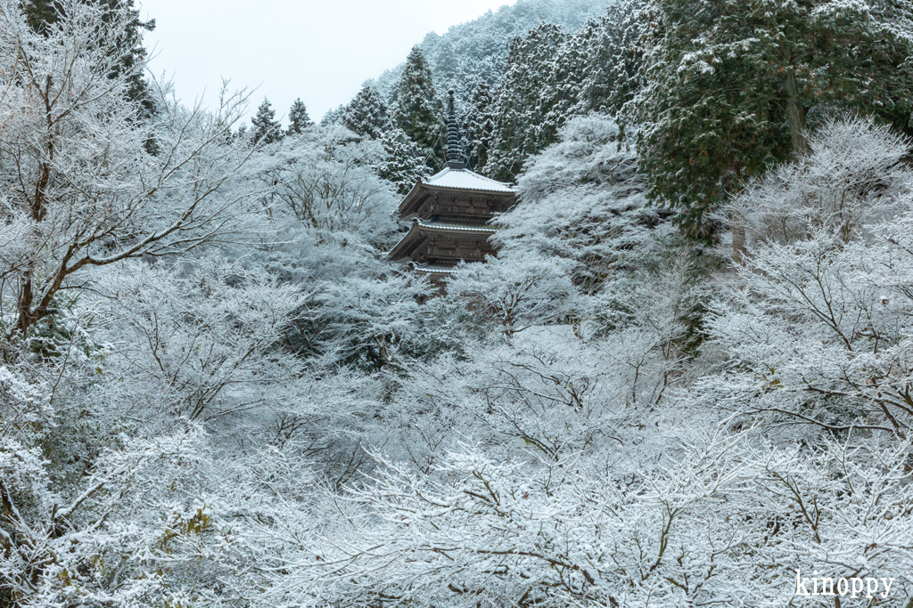 高源寺 雪景色 2