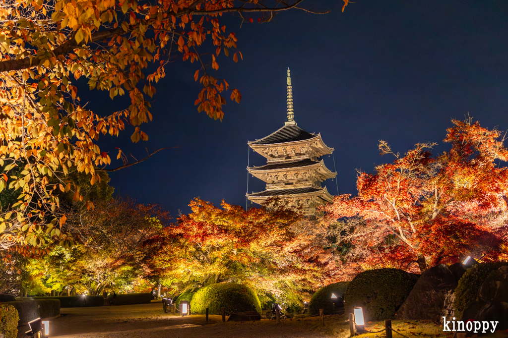 東寺 ライトアップ 5