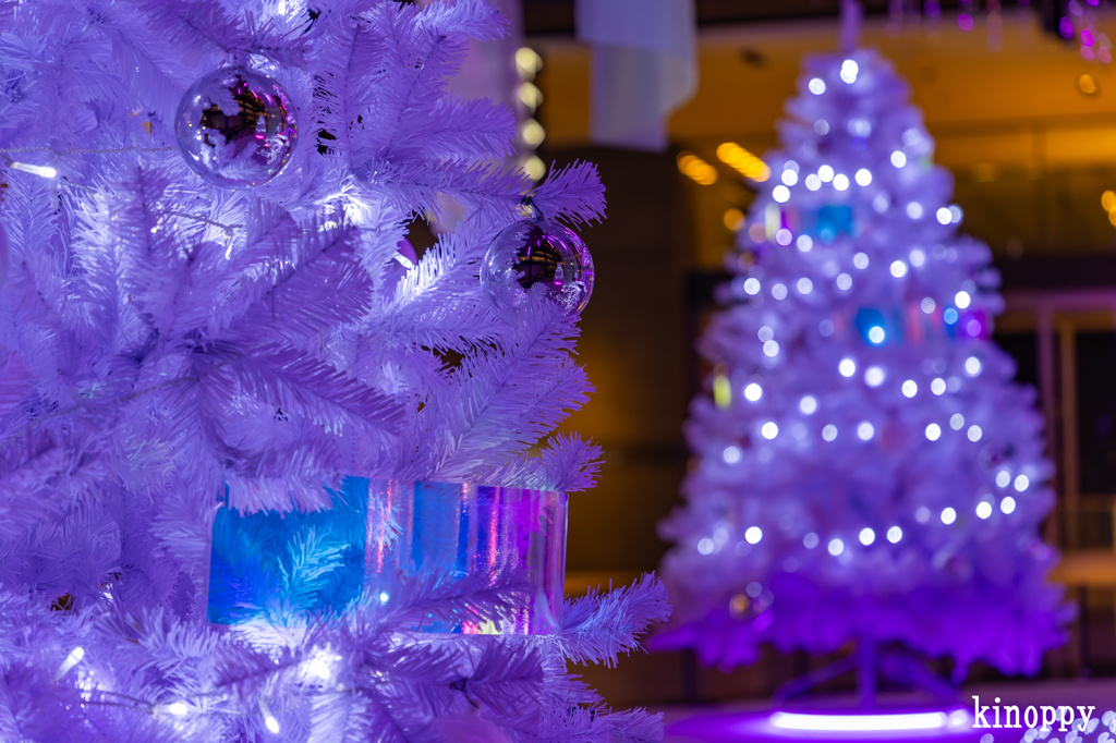 グランフロント大阪 イルミネーション 4