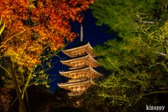 仁和寺 ライトアップ