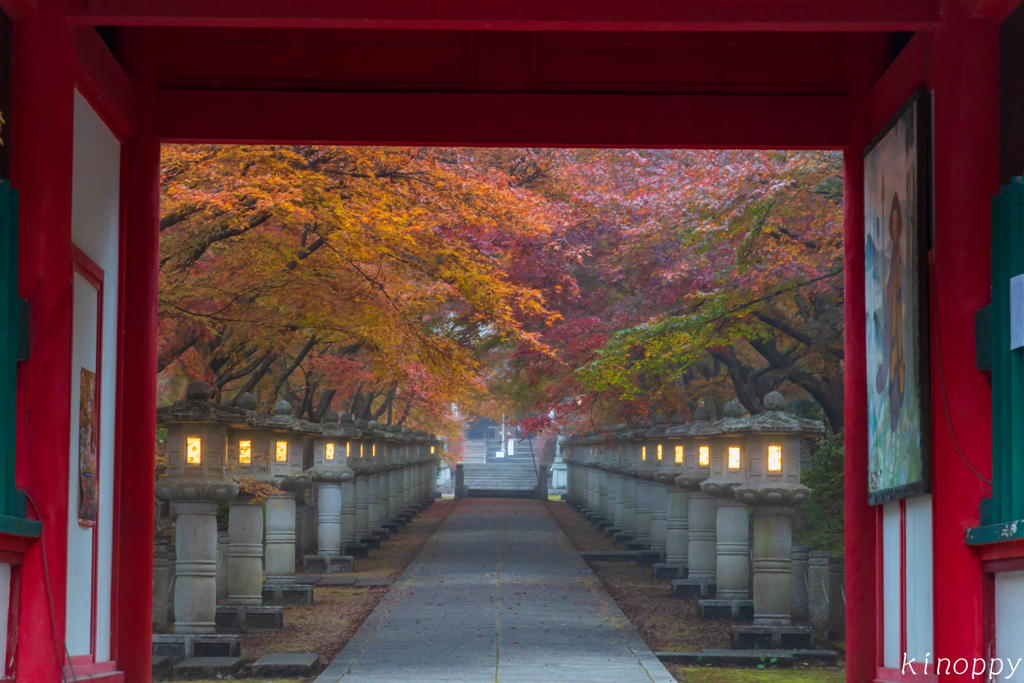 高山寺 紅葉 2