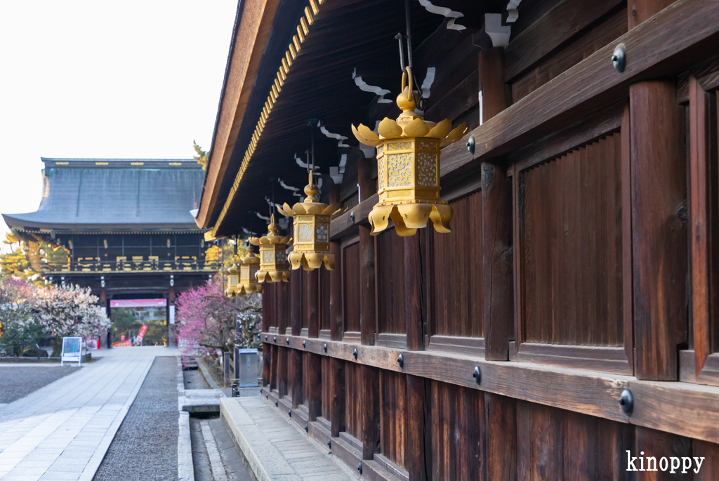 北野天満宮 3