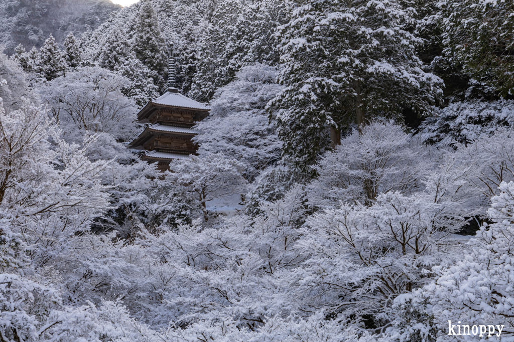 高源寺 雪景色 4