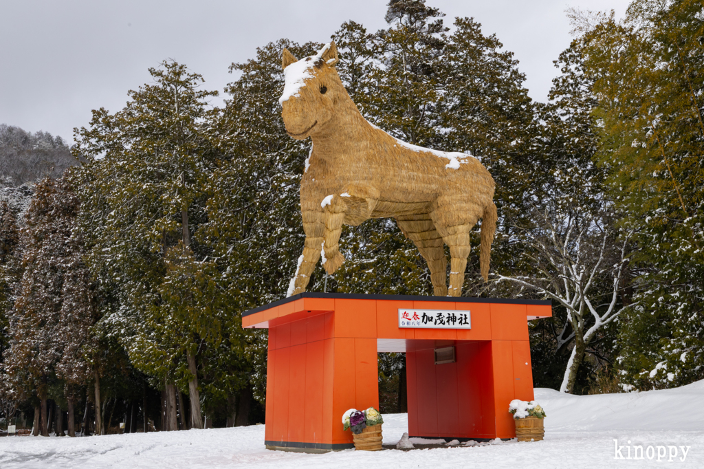 安志稲荷神社 雪景色 4