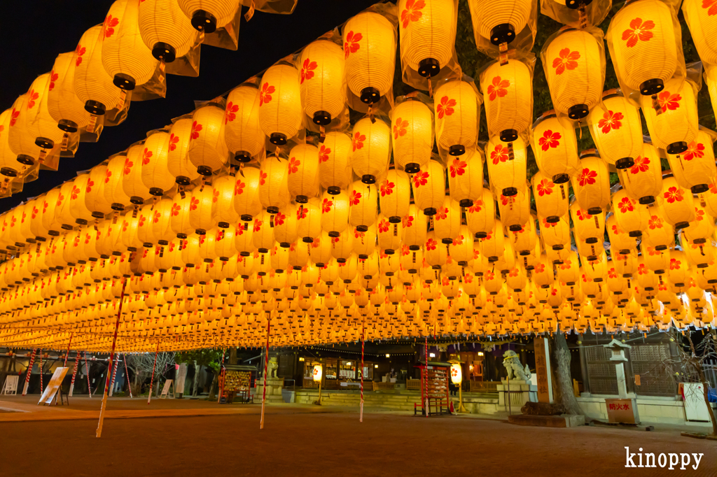姫路護國神社 新年万灯祭 3