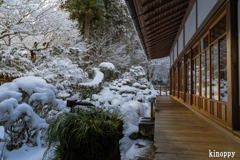 三千院 雪景色 4