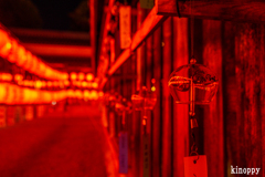 萱野神社 献灯祭 8