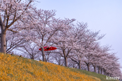 おの桜づつみ回廊 3