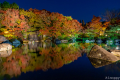 姫路城 好古園 紅葉 ライトアップ