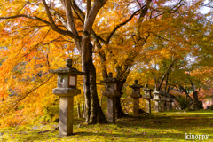 談山神社 紅葉 8