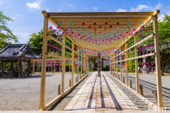 西教寺 風鈴 2