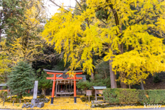 岩戸落葉神社