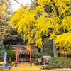 岩戸落葉神社