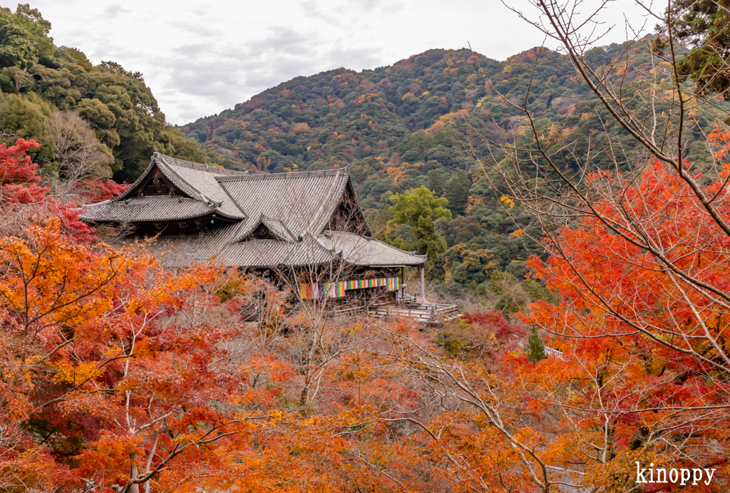 長谷寺 紅葉 7