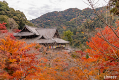 長谷寺 紅葉 7