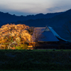 宝珠寺 ヒメシダレザクラ 2