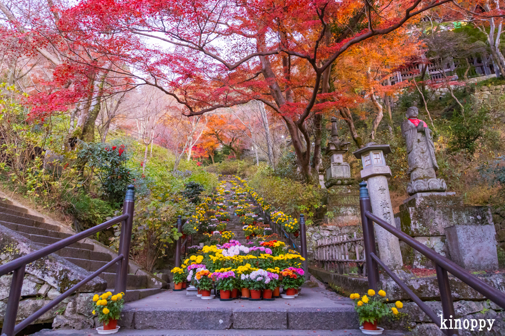 長谷寺 紅葉 4