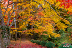 龍穏寺 紅葉