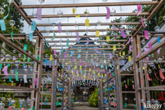 東光院 風鈴まつり